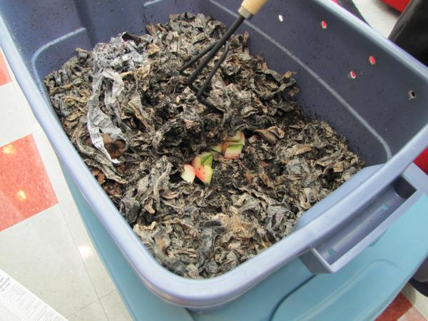 Figure 8. After feeding cover the food scraps with 1 to 2 inches